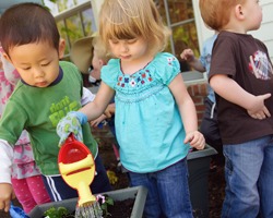 happy toddlers playing together at the daycare center